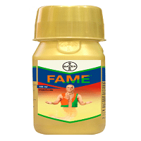 BAYER FAME INSECTICIDE